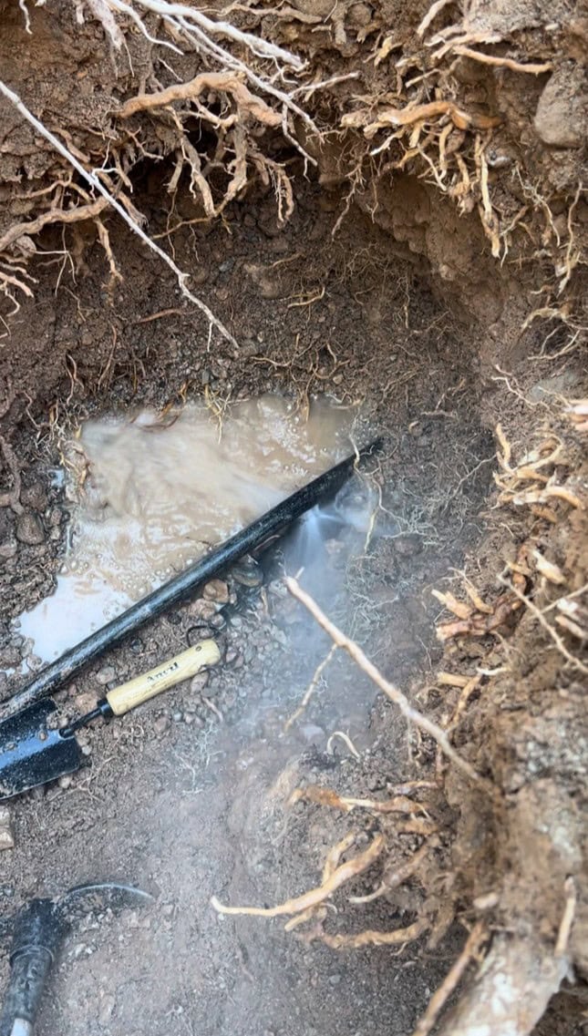 Professional Leak Repair Las Vegas Plumbing System Using Advanced Technology