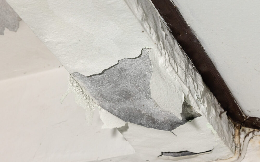 Signs of a Slab Leak: How to Spot One Before It’s Too Late