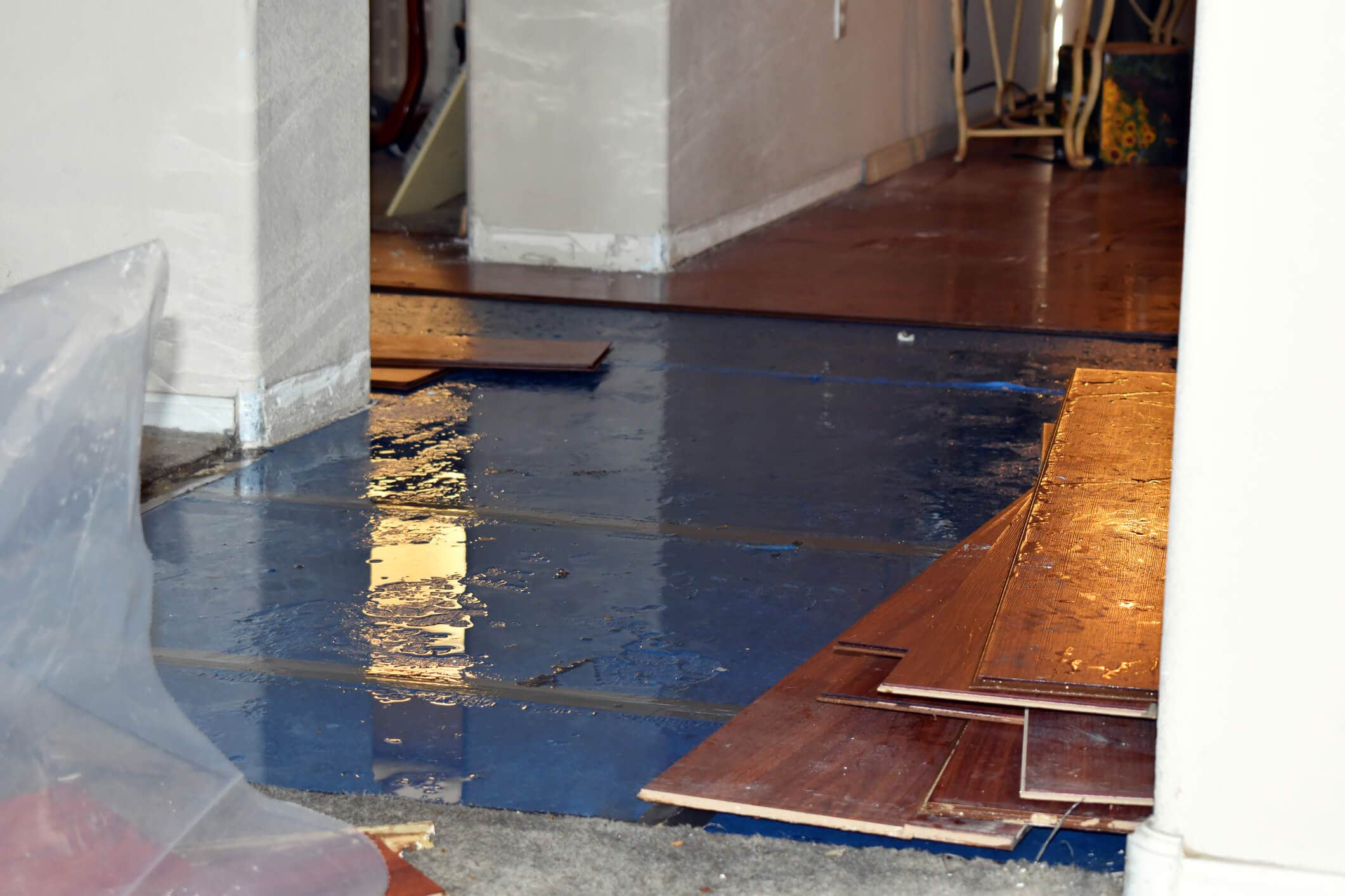What To Do If You Notice Water Damage On Hardwood Floors?
